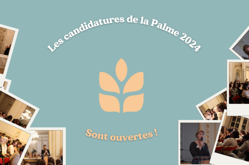 Candidatures ouvertes pour la Palme 2024