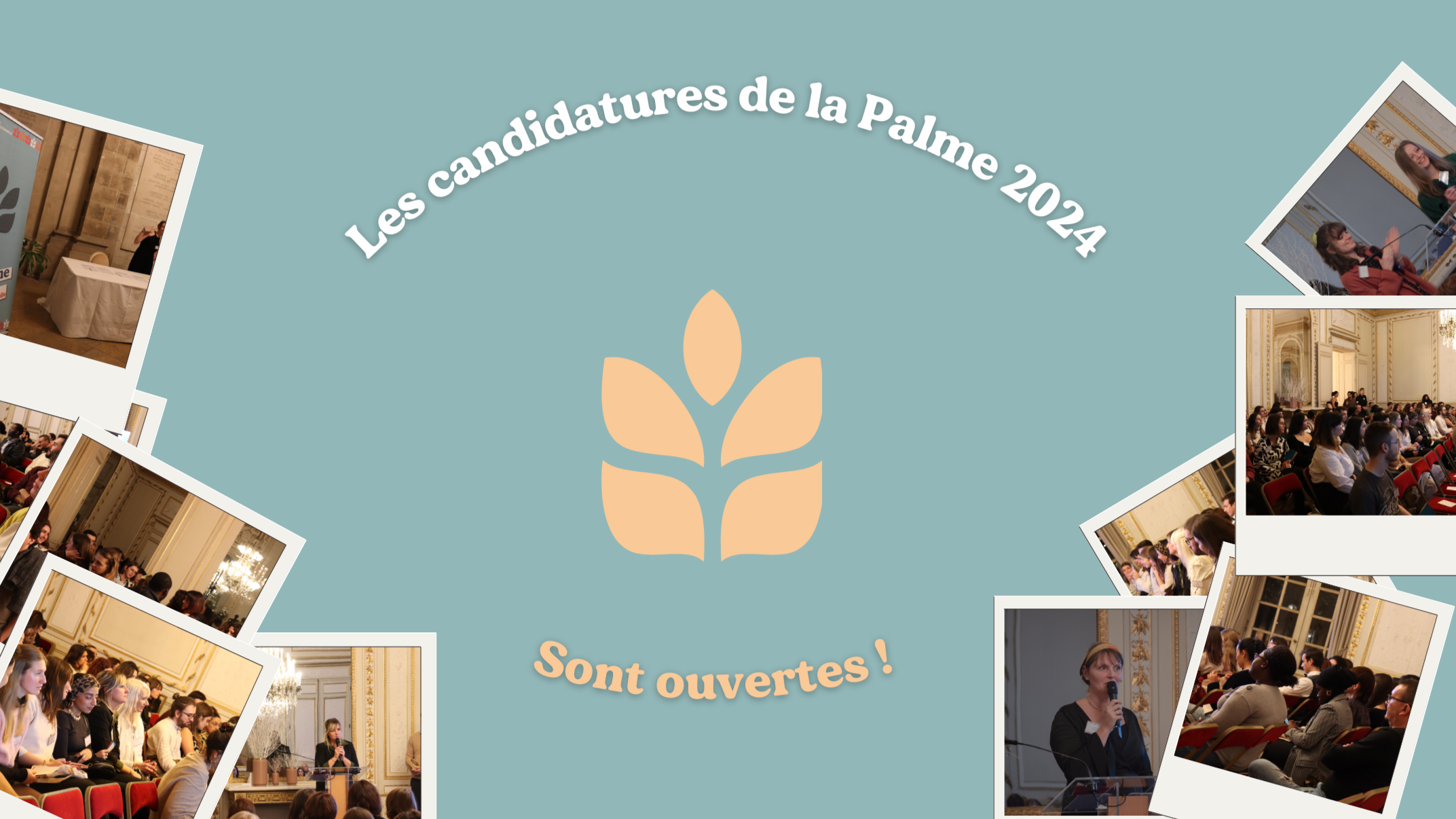 Candidatures ouvertes pour la Palme 2024